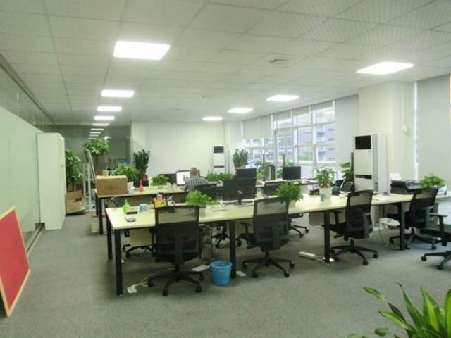 黄浦区体育场球场施工生产厂家